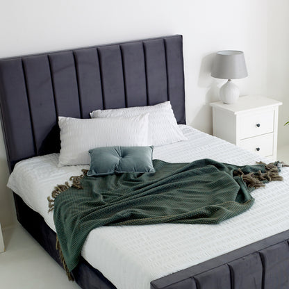 Coral Bed